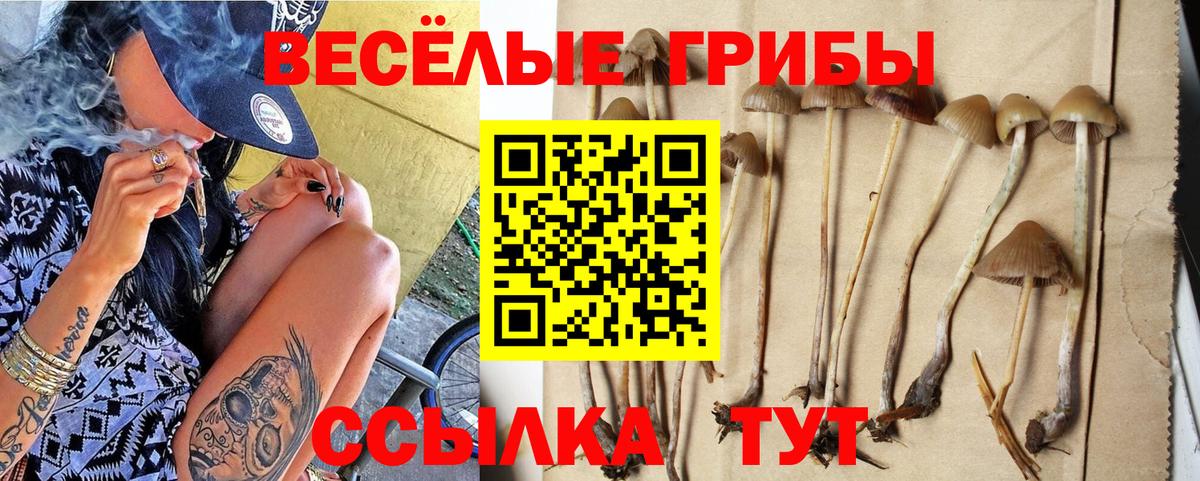 Сланцы  Псилоцибиновые грибы Magic Shrooms  Псилоцибиновые грибы Psilocybine cubensis  Вход с VPN 